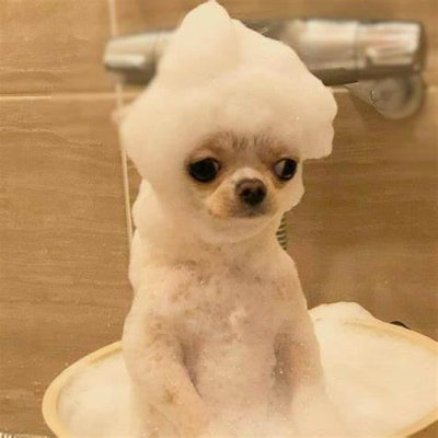 nopponoppo's avatar
